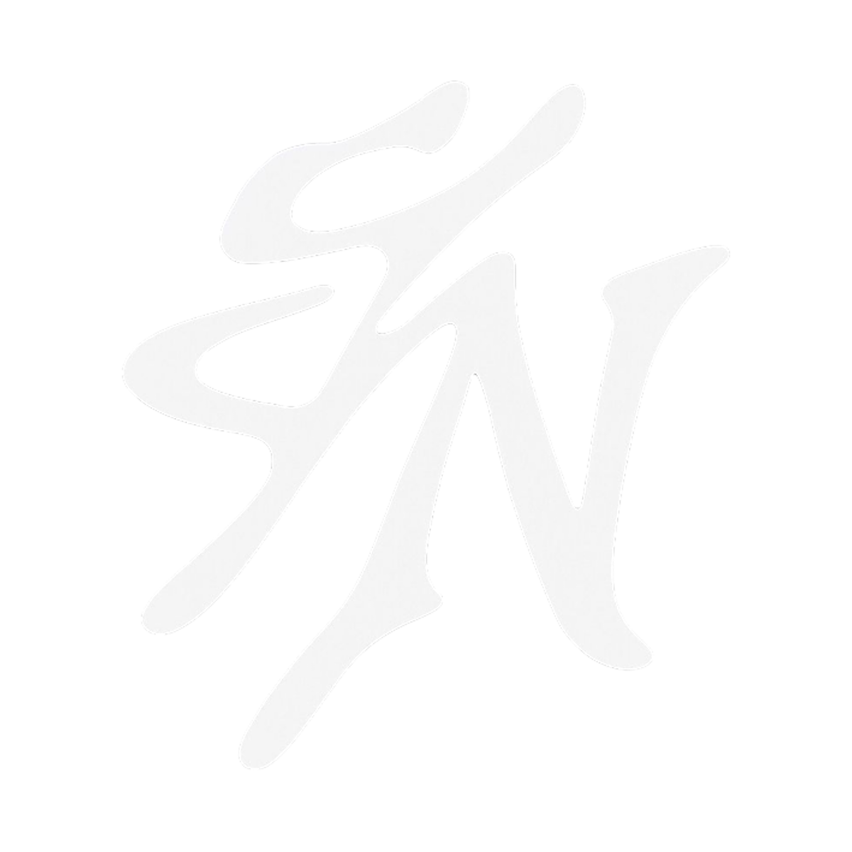 SFN logo